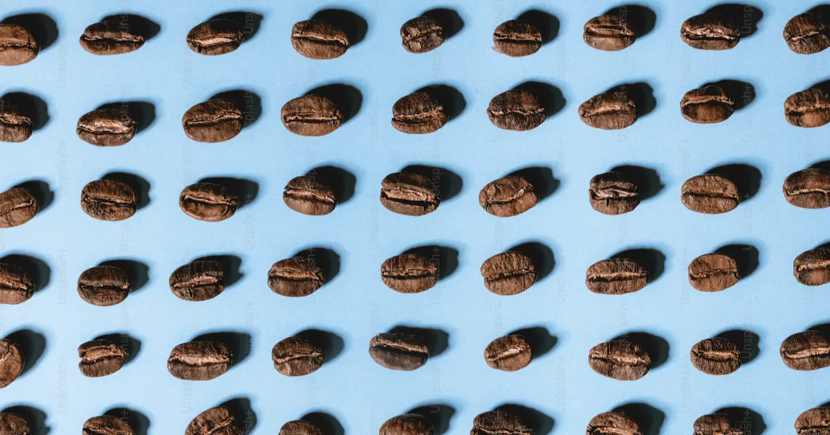 Coffee beans with light blue background Coffee beans with light blue background